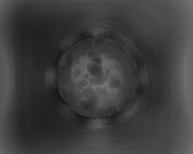 X0000100910527200806241316
