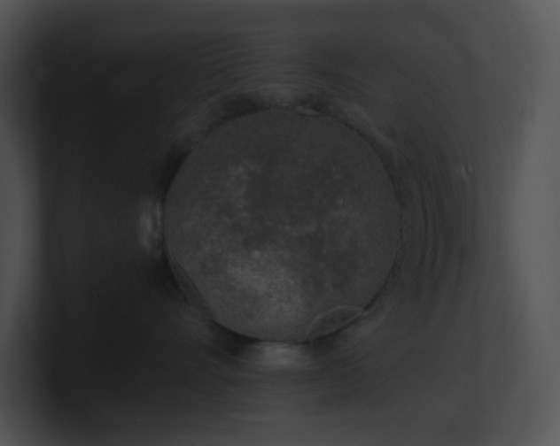 X0000100910528200806241316