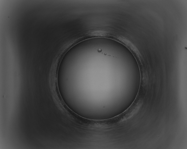 X0000100910529200806241315