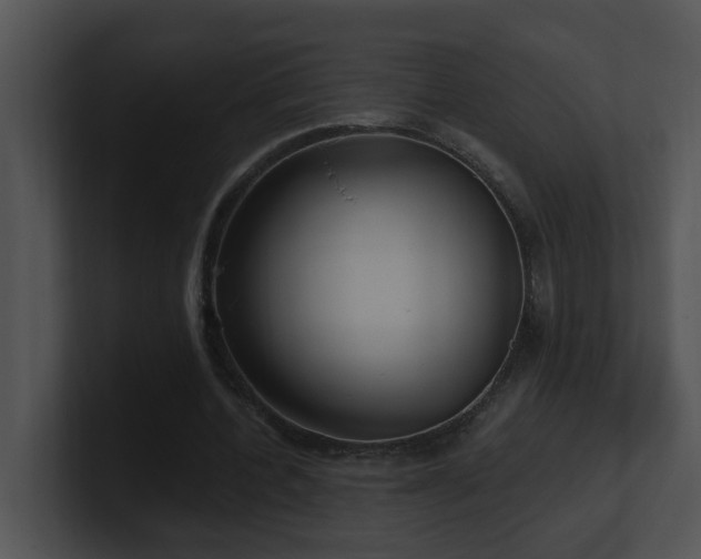 X0000100910532200806241315