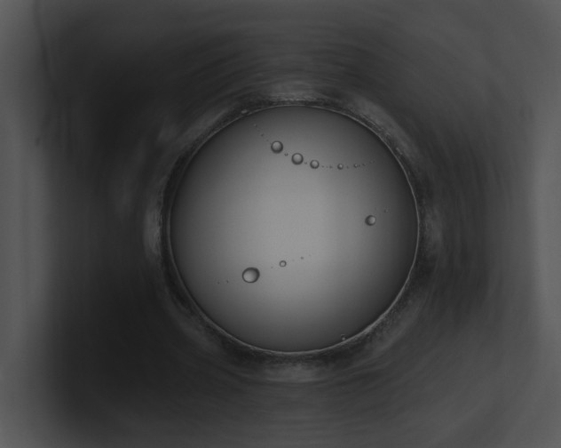 X0000100910533200806241315