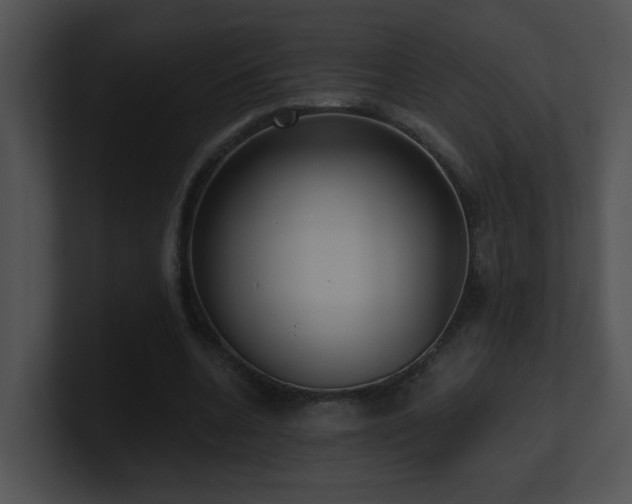 X0000100910536200806241315