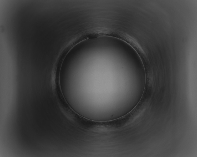 X0000100910538200806241315