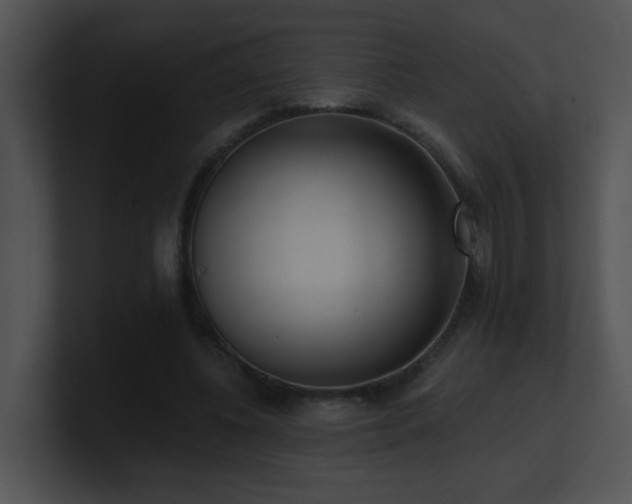 X0000100910540200806241315