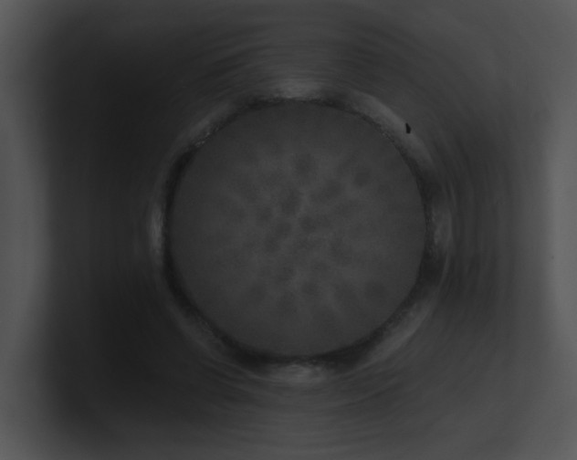 X0000100910542200806241315
