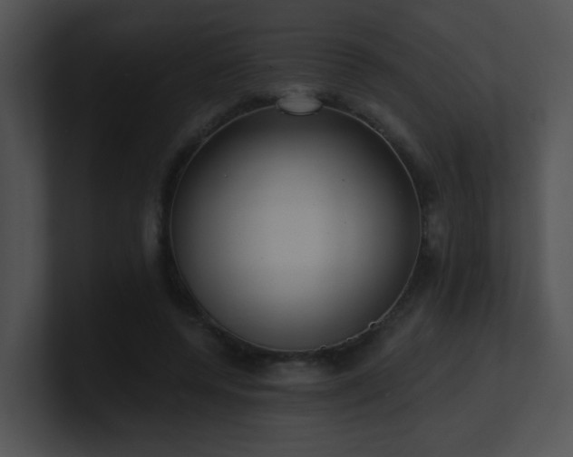 X0000100910544200806241315