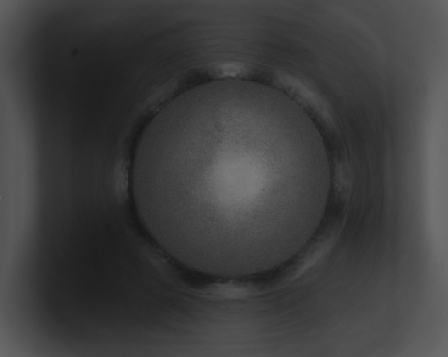 X0000100910545200806241315