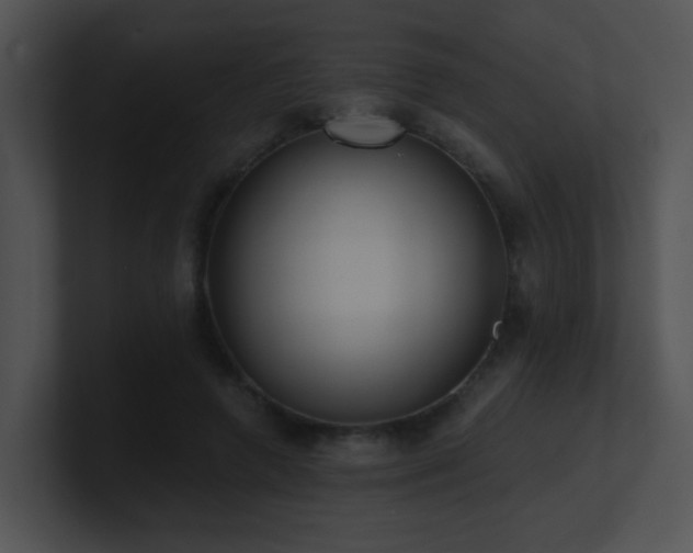 X0000100910546200806241315