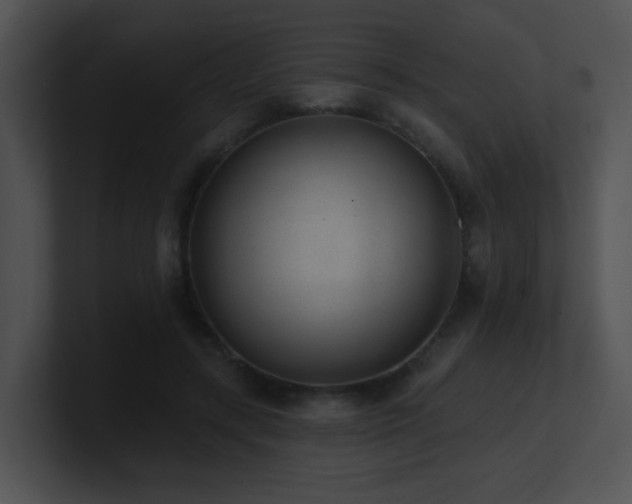 X0000100910547200806241315