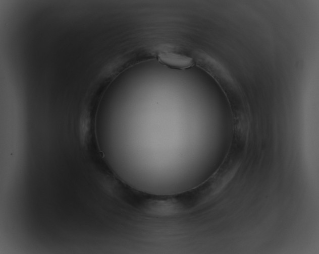 X0000100910548200806241315