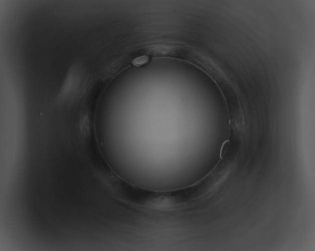 X0000100910551200806241315