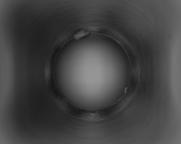 X0000100910552200806241315