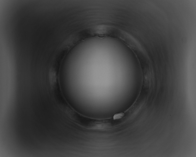X0000100910555200806241315