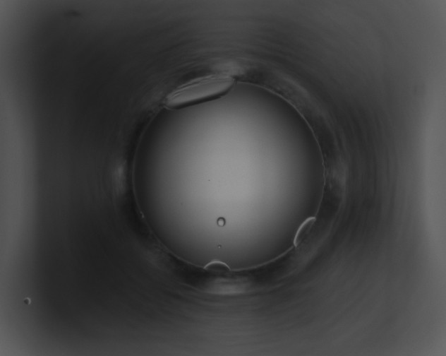 X0000100910556200806241315