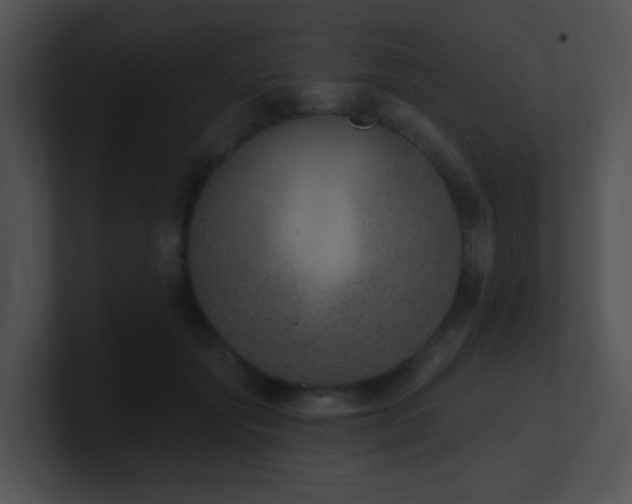 X0000100910557200806241315