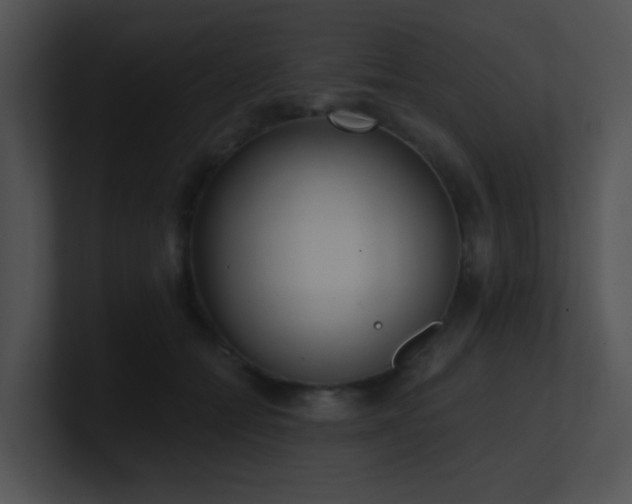 X0000100910558200806241315