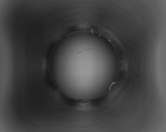 X0000100910560200806241315