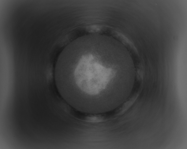 X0000100910561200806241315
