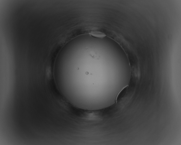 X0000100910564200806241315