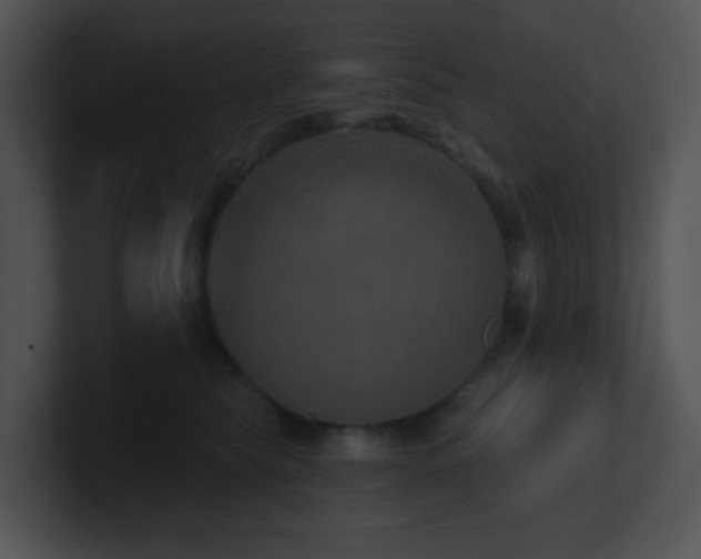 X0000100910565200806241315