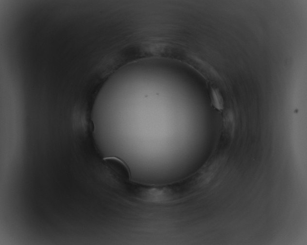 X0000100910566200806241315