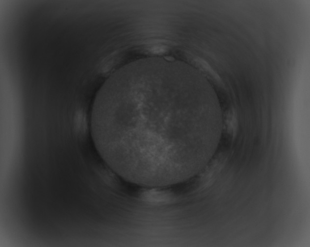 X0000100910568200806241316