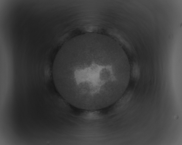 X0000100910569200806241316