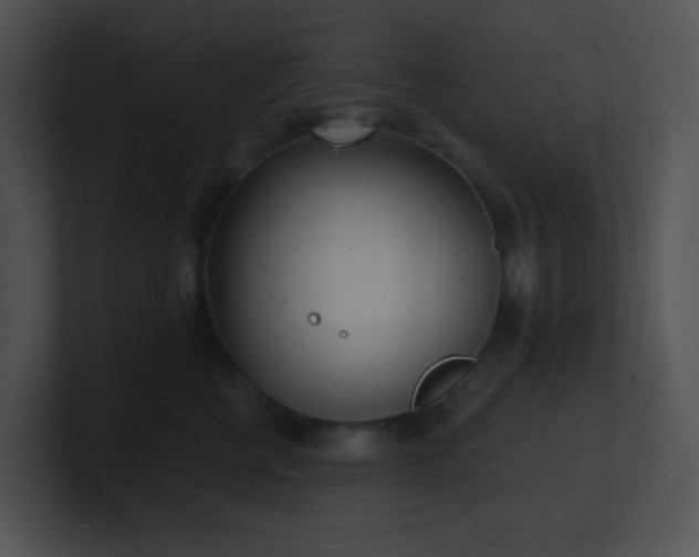 X0000100910570200806241316