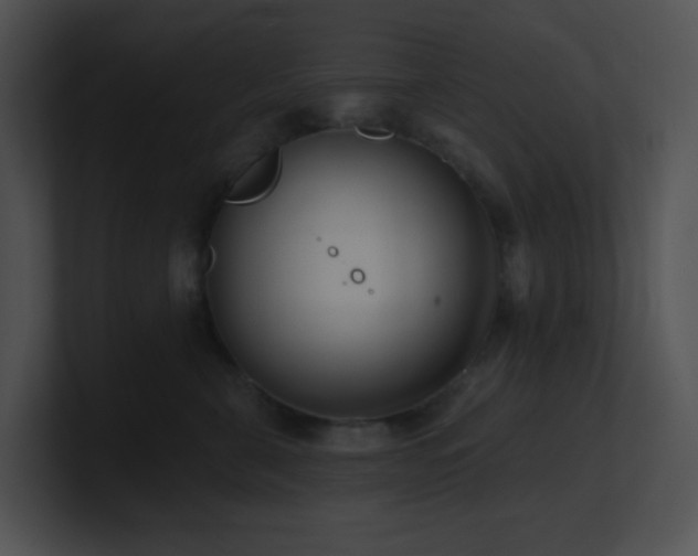 X0000100910571200806241316