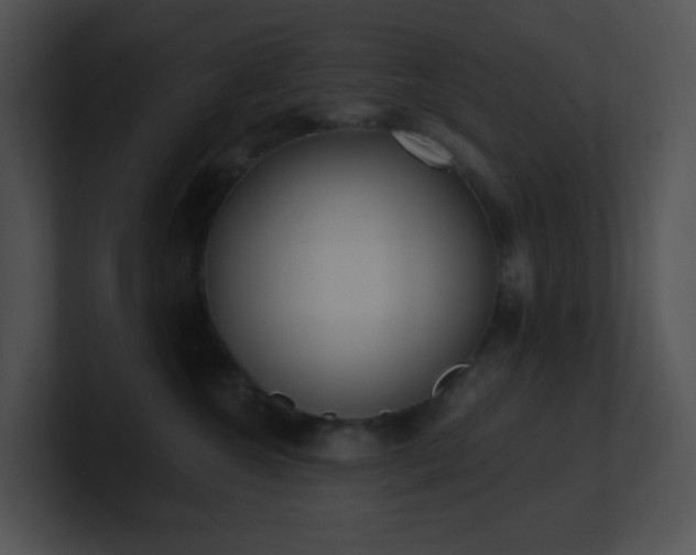 X0000100910572200806241316