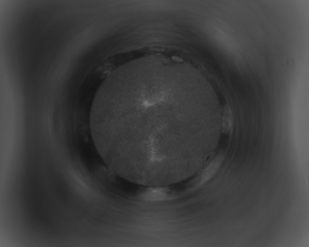 X0000100910573200806241316