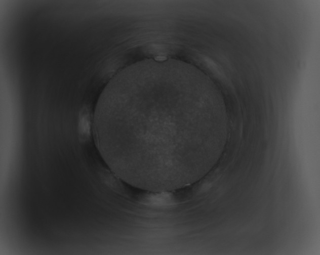 X0000100910576200806241316