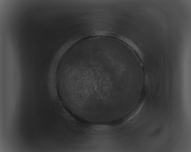 X0000100910577200806241315