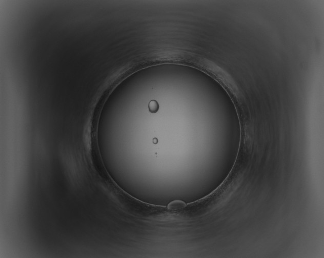 X0000100910578200806241315