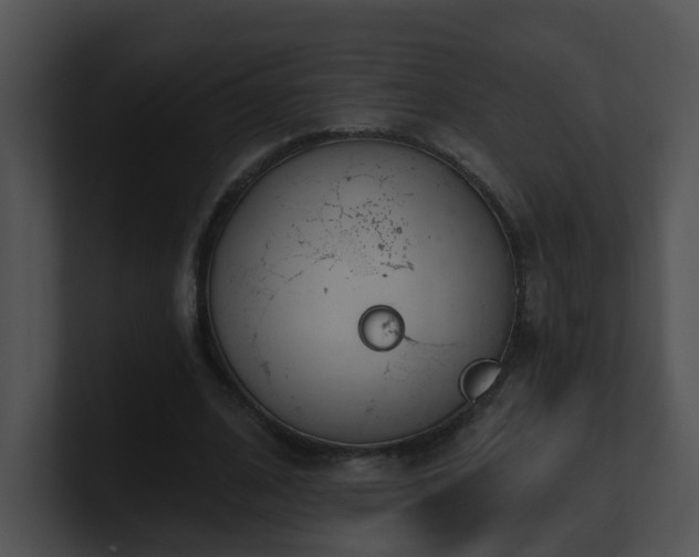 X0000100910584200806241315
