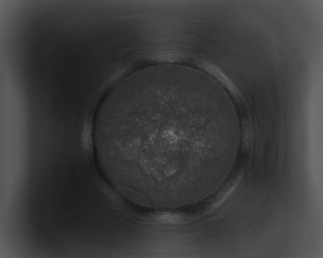 X0000100910585200806241315