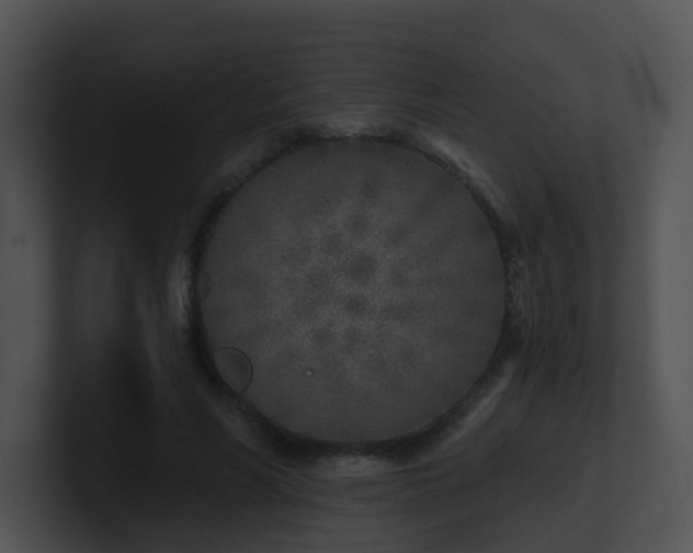X0000100910590200806241315