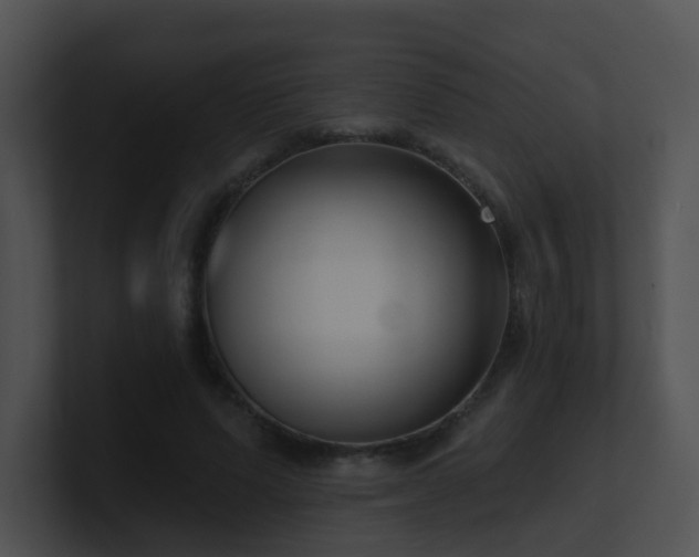 X0000100910591200806241315