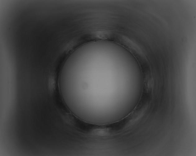 X0000100910595200806241315