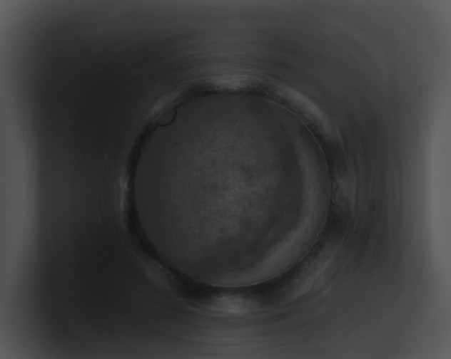 X0000100910596200806241315