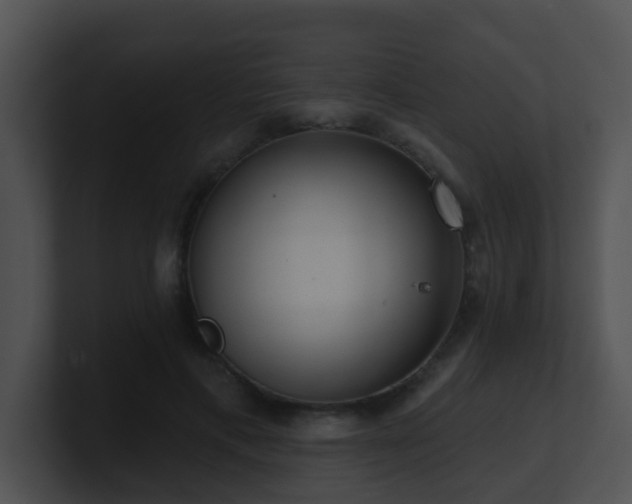 X0000100910597200806241315