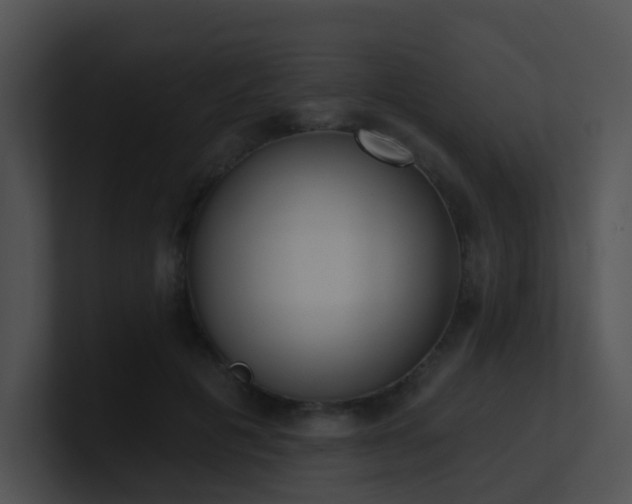 X0000100910601200806241315