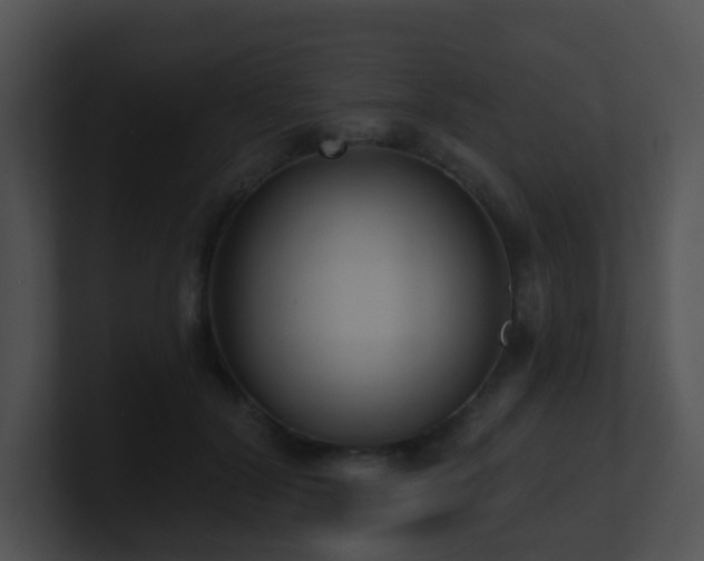 X0000100910604200806241315