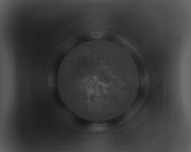 X0000100910606200806241315