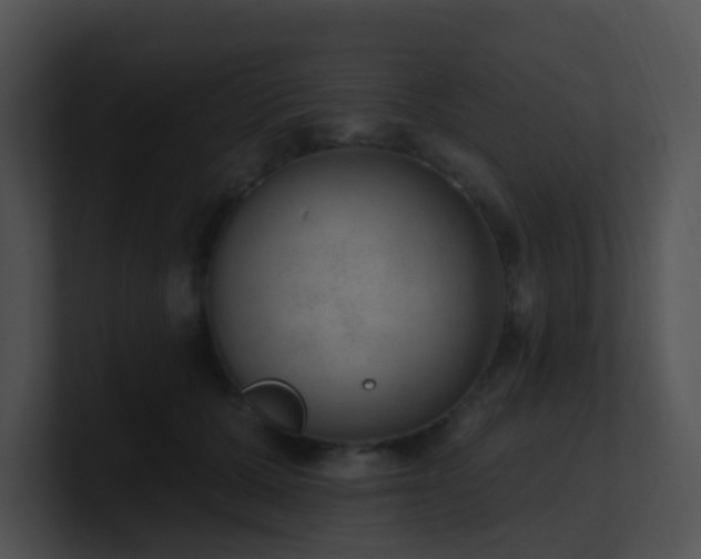 X0000100910607200806241315