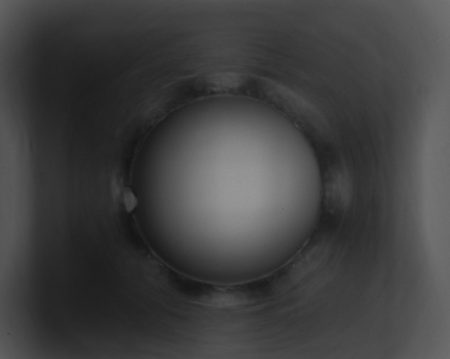X0000100910608200806241315