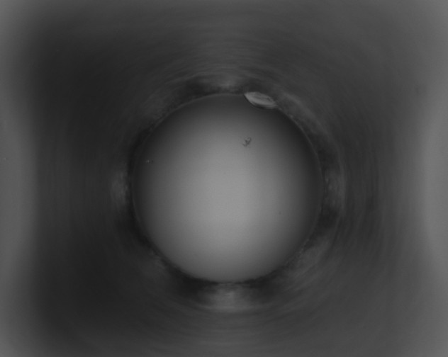 X0000100910612200806241315