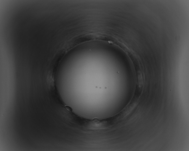 X0000100910613200806241314