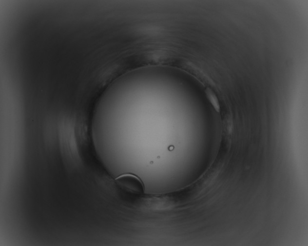 X0000100910615200806241314