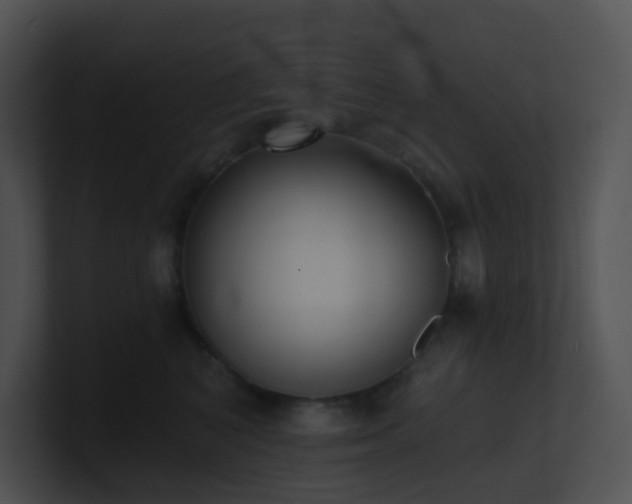 X0000100910616200806241314